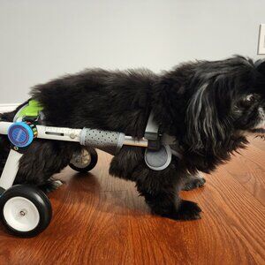Dog wheelchair